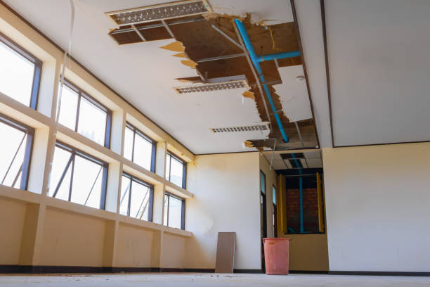 Best Flood damage cleanup  in Madeira Beach, FL