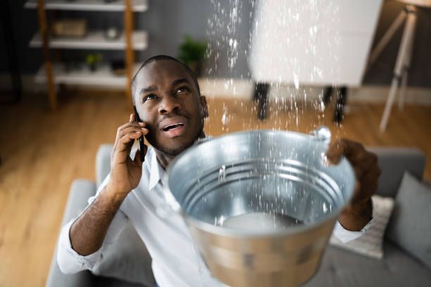 Best Professional water damage repair  in Madeira Beach, FL