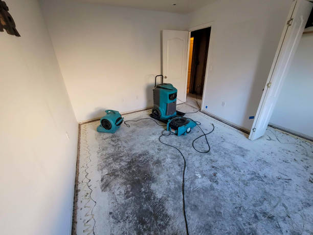 Best Flood restoration services  in Madeira Beach, FL