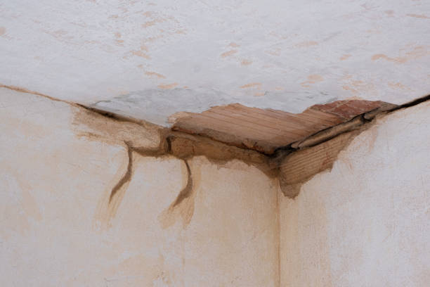 Best Water damage restoration near me  in Madeira Beach, FL