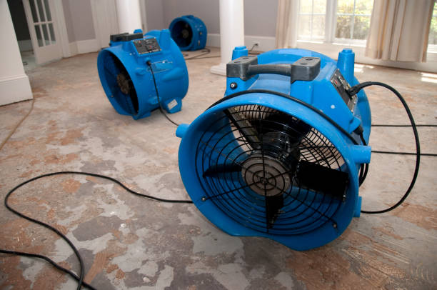 Best Carpet water damage restoration  in Madeira Beach, FL