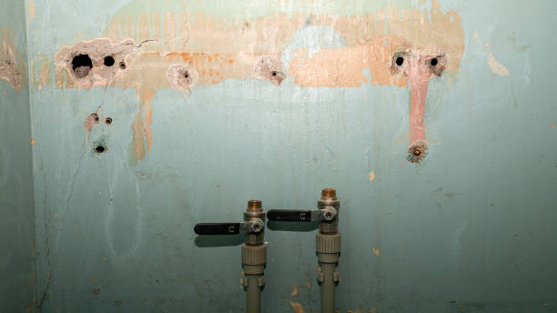 Best 24-hour water damage restoration  in Madeira Beach, FL