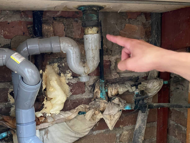 Best Water damage restoration experts  in Madeira Beach, FL
