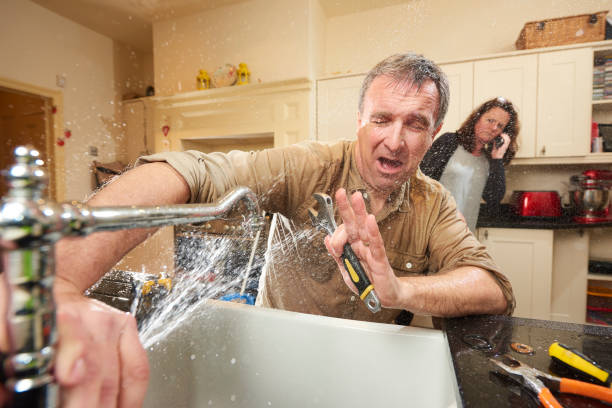 Best Flooded house restoration  in Madeira Beach, FL